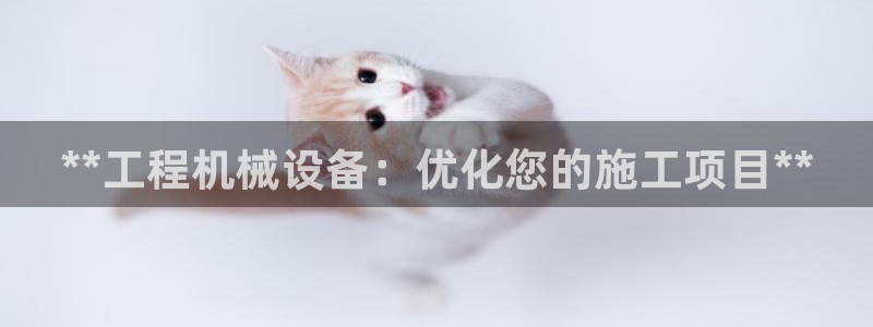 j9九游会app下载