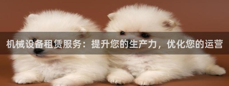j9官网豪华游