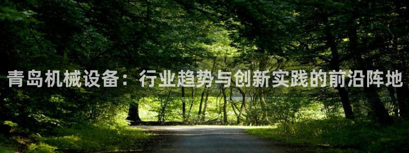 九游会电话