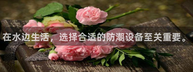 J9九游会官方平台