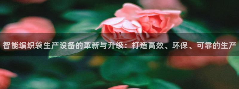 九游会ag网址大全专业版