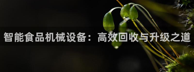 九游会老哥俱乐部官方网站