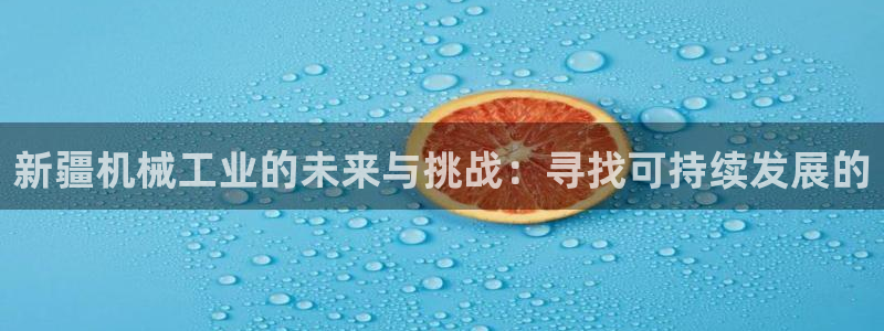 九游会官方在线：新疆